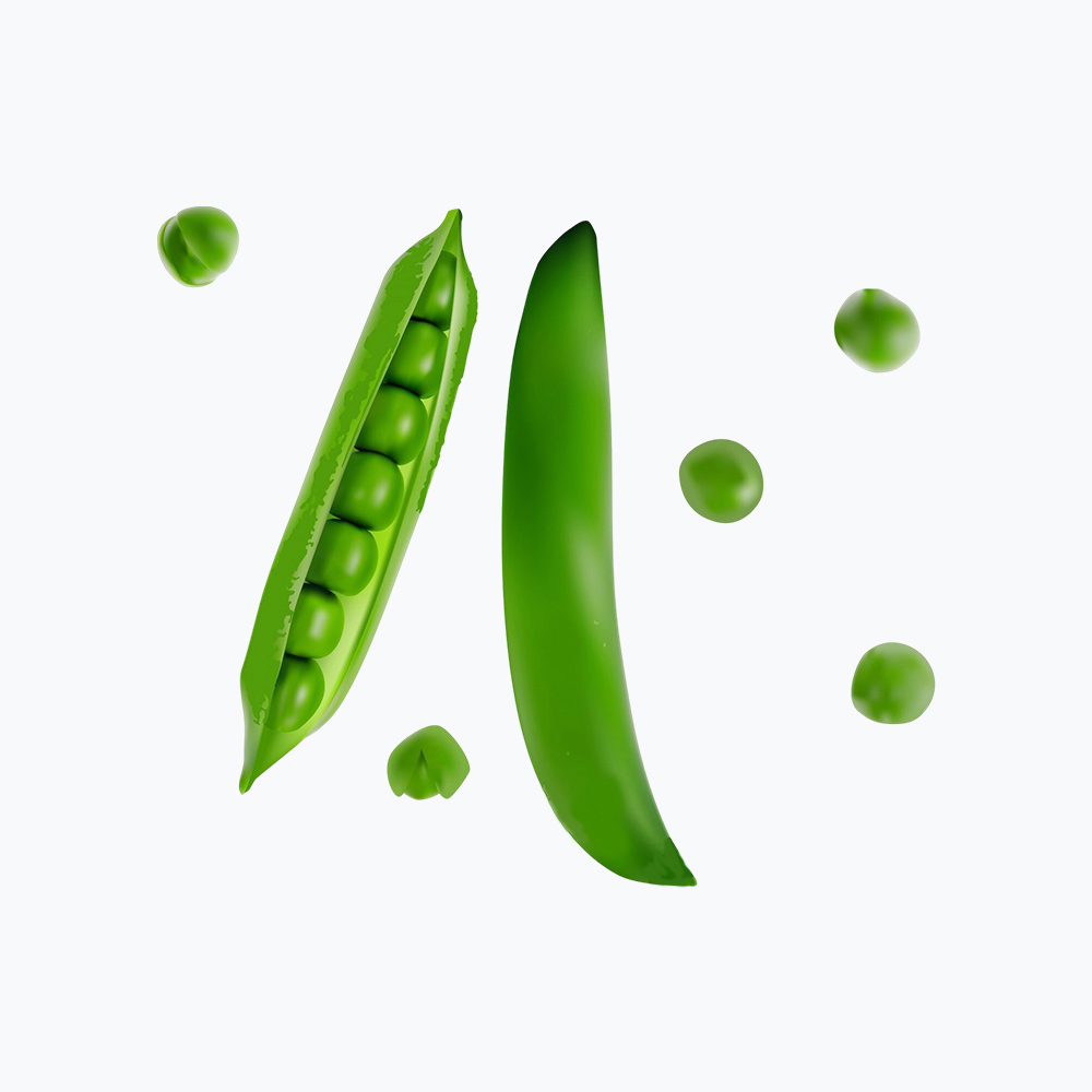 Fresh Organic Peas